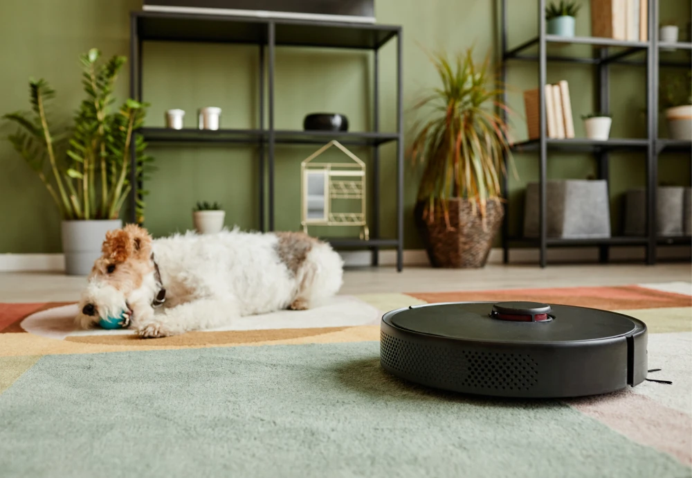 robot vacuum cleaner with hepa filter